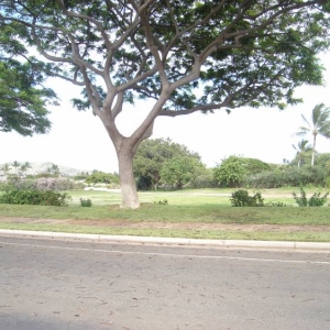 Ko'olina area