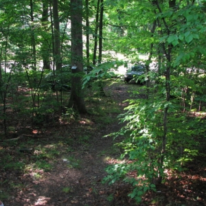 cottage6