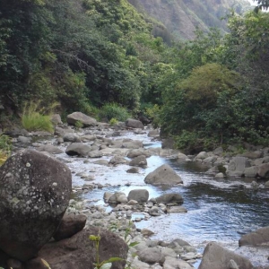 IAO Maui