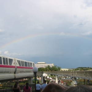 wdwrainbow