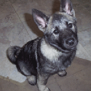 Atlas - 3 months