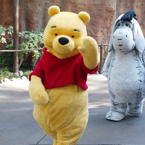 Winnie the Pooh and Eeyore