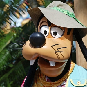 Goofy at AK