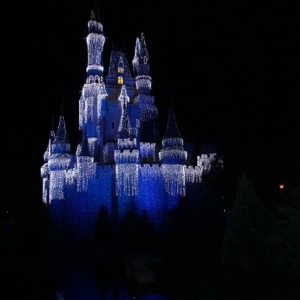 Castle at MVMCP