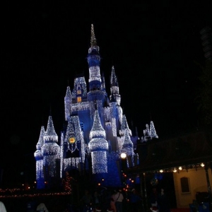 Castle at MVMCP