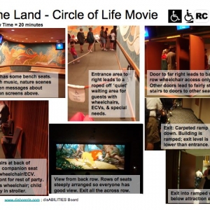 Circle of Life