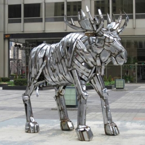 boy_moose_resized