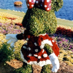 Media 'Flower & Garden Minnie 2008' in category 'Epcot'