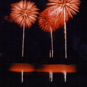 Flowers? or Fireworks?