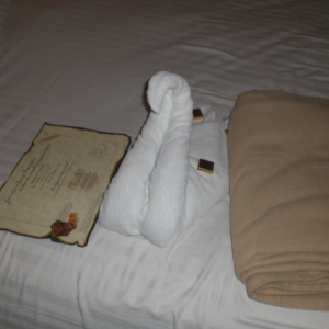 Swan
