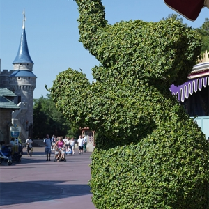 Dumbo topiary