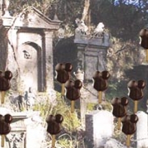 mickey_bar_wake_sm