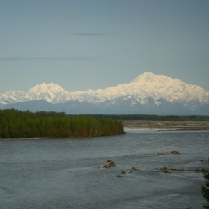 DSC008881