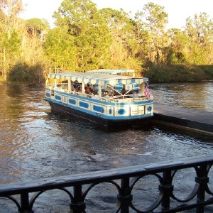 wdw39