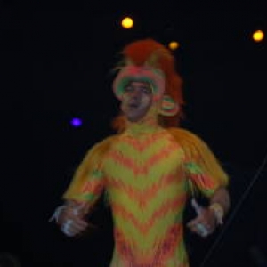 Lion King "Monkey"