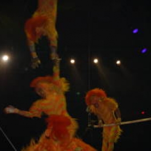 Lion King Acrobat Monkeys