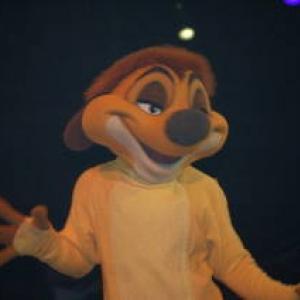 Lion King Timon