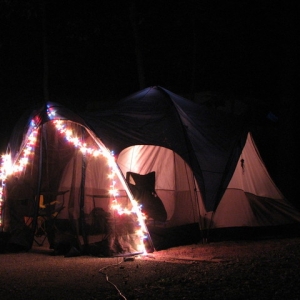 lights