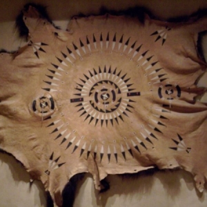 WL buffalo hide