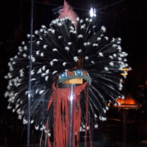 WL Crow headdress