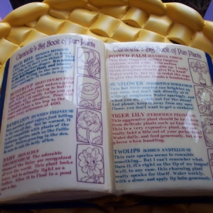 Minnie's house - flowers book