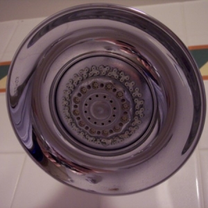 WL shower   hidden Mickeys