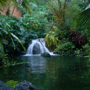 Poly Entrance Waterfall