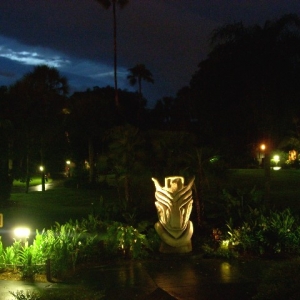 Poly Luau Cove