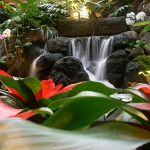 Poly Waterfall 08