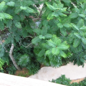 View down from AKV Room 5018