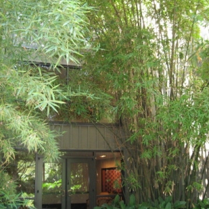 Side door of AKL