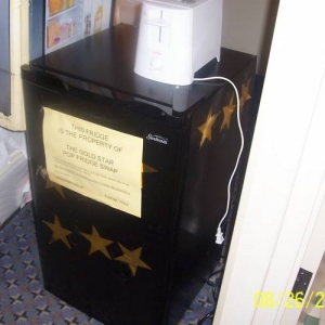 Gold Star Fridge and Toaster