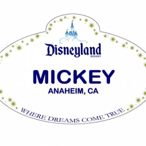 MICKEYDL