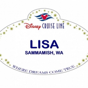 0LISA11