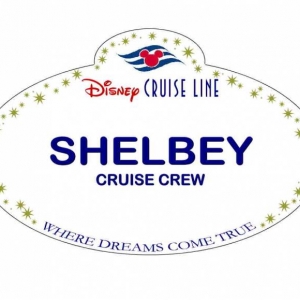 XSHELBEY1