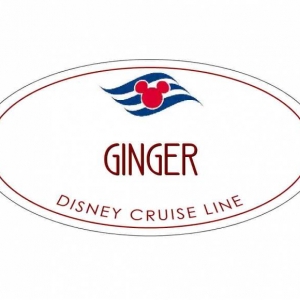 XGINGER1