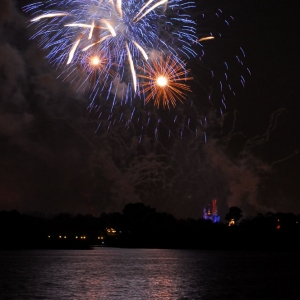 Wishes from the Polynesian Resort