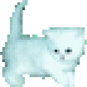 Kit