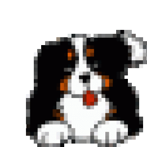 Pup