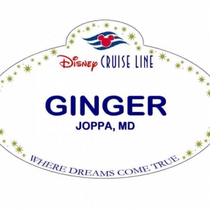 XGINGER2