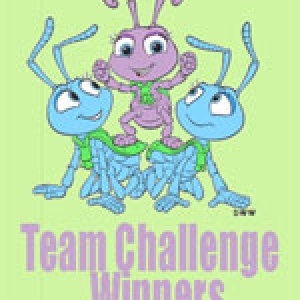 teamchallengefinal