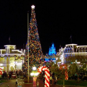 MK at Christmas