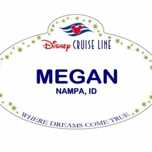 XMEGAN3