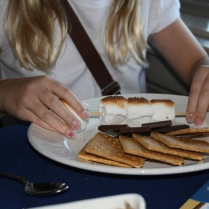 narc smores