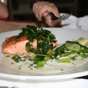 gfc salmon