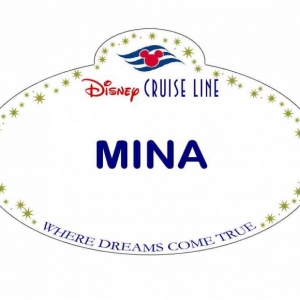 XMINA1