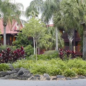 Poly grounds 3