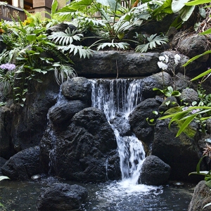 Polynesian Lobby waterfall