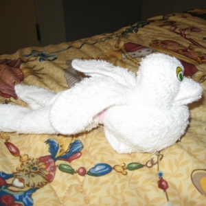 Towel animal