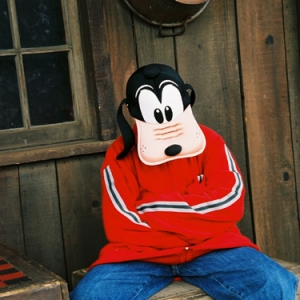 David_goofy
